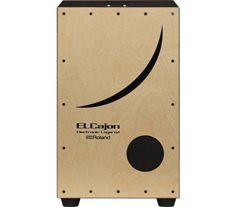 Roland EC 10 EL