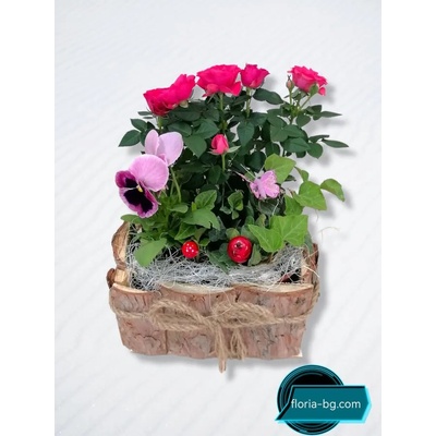 АРАНЖИРОВКА ФЛОРА