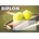 Diplom tenis
