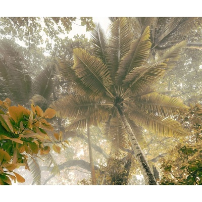 Komar Vliesová fototapeta Palms Panorama 300 x 250 cm