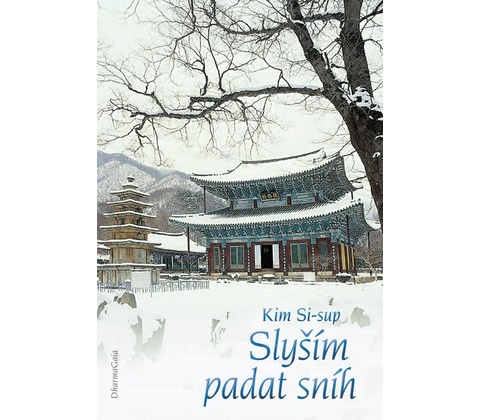 Slyším padat sníh