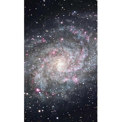Dimex MS-2-0189 vliesová fototapeta rozměry 150 x 250 cm
