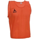 Select Bib Basic