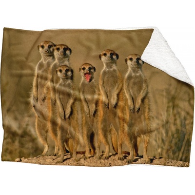 Impar fleece deka Surikaty Podšití beránkem ANO 200x140