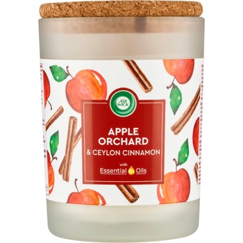 Air Wick Essential Oils apple orchard & ceylon cinnamon 185 g