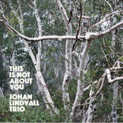 Johan Lindvall - This Is Not About You CD