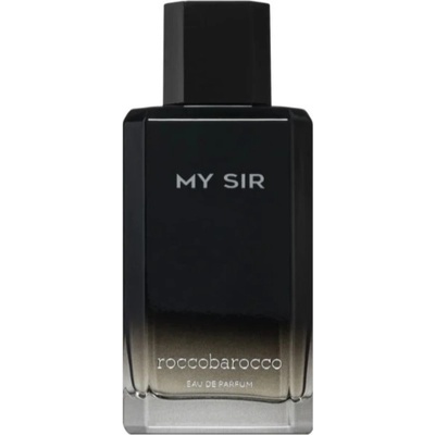 Roccobarocco My Sir parfumovaná voda pánska 100 ml