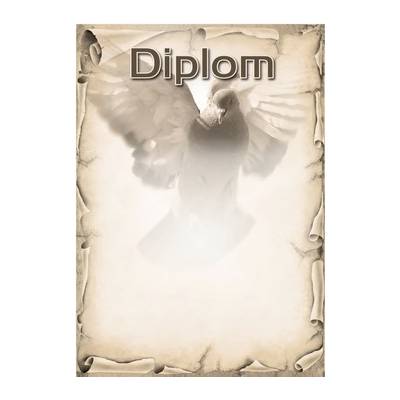 diplom 40