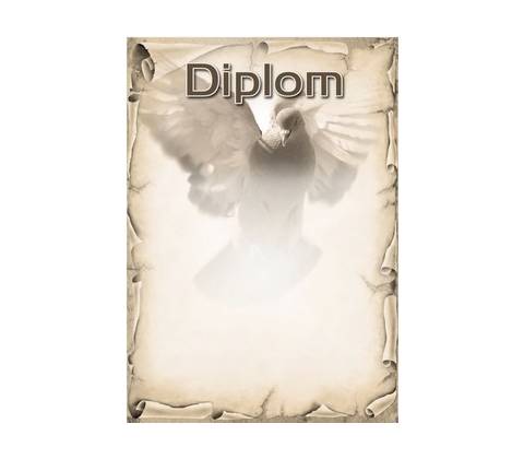 diplom 40