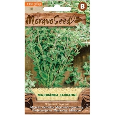 MORAVOSEED Majoránka zahradní