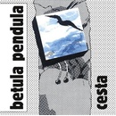 Cesta - Betula pendula