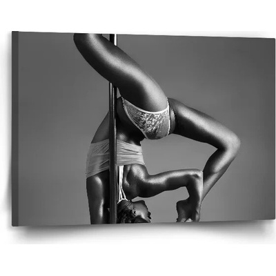 Sablio Obraz Pole dancer Varianta: 120x80cm