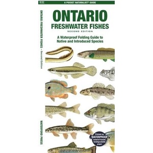 Ontario Fishes: A Folding Pocket Guide to All Known Native and Introduced Freshwater Species | Morris, Matthew, Waterford Press (ISBN: 9781620057117)