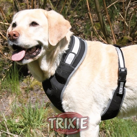 Trixie postroj Flash Soft