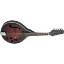 Stagg M50 E
