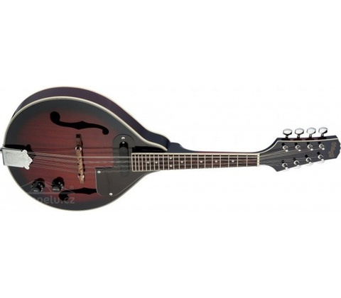 Stagg M50 E