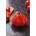 Seklos Домат Червена круша Red pear