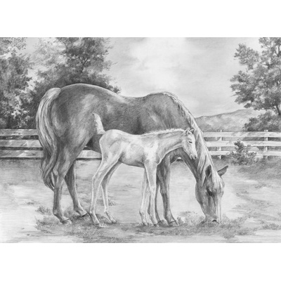 Malování podle čísel SKICOVACÍMI TUŽKAMI Kůň a hříbě