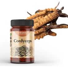 Vifungi Cordyceps sinesis 60 kapslí