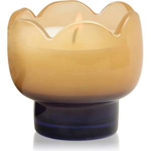 Paddywax Tulip Garden & Grove ароматна свещ 155 гр