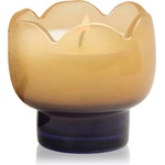 Paddywax Tulip Garden & Grove ароматна свещ 155 гр