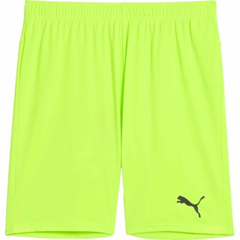 PUMA Teamgoal shorts xl
