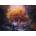 Schmidt Spiele - Puzzle Enchanted Forest - 1 000 piese