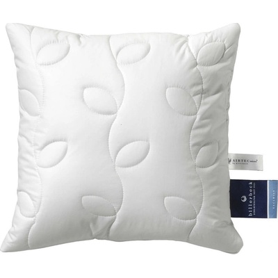 Billerbeck vankúš 40x40