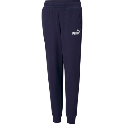 PUMA Спортно долнище ESS Logo Pants FL cl B