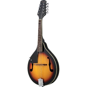 Stagg M20
