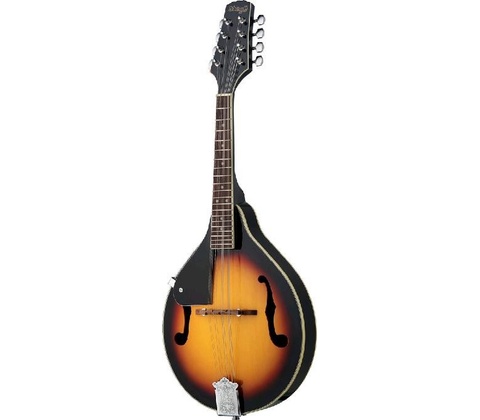 Stagg M20