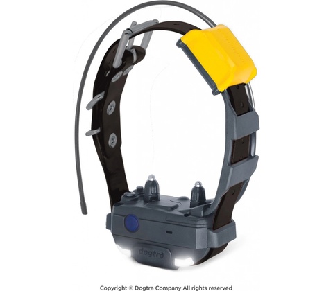 Dogtra Pathfinder 2 Mini