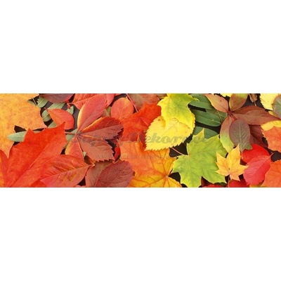 Dimex Samolepicí fototapeta na kuchyňskou linku Leaves KI180-027 Fototapety do kuchyně 180 x 60 cm
