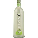 JELZIN SAURER APFEL 16,6% 0,5 l (holá láhev)