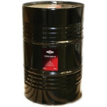 Briggs & Stratton SAE 30 200 l