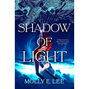 Shadow of Light (ISBN: 9781649370990)