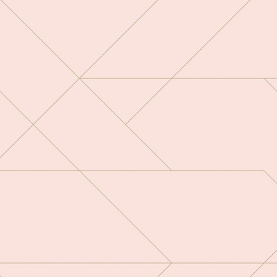 Esta Home 139211 Růžová vliesová tapeta s geometrickými liniemi rozměry 0,53 x 10,05 m
