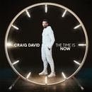 DAVID CRAIG: TIME IS NOW, LP