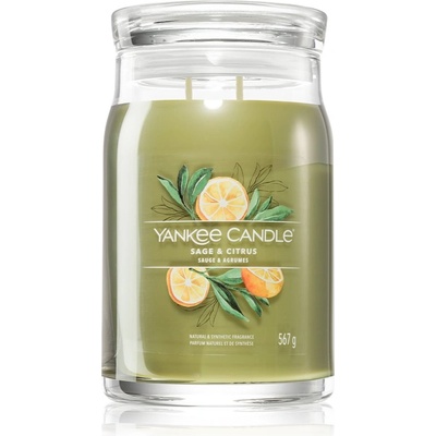 Yankee Candle Sage & Citrus ароматна свещ Signature 567 гр