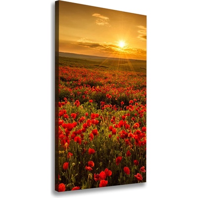 Vertikálny foto obraz na plátne do obývačky Pole makov 50x100 cm