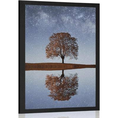 Plakát hvězdná obloha nad osamělým stromem - 60x90 no frame
