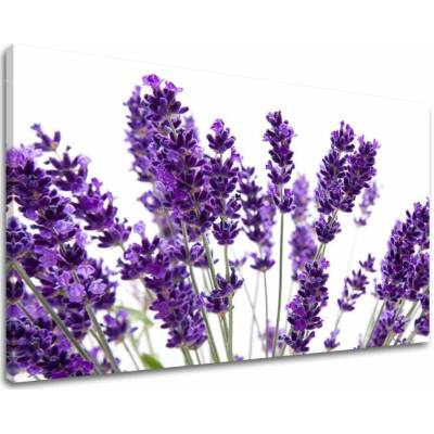 Obraz na stenu KVETY - 100x150