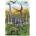 Dino - Puzzle Jurassic Park - 40 - 99 piese