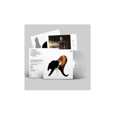 Coil Black Antlers LP