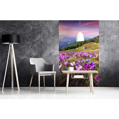 Dimex MS-2-0064 vliesová fototapeta na zeď Krokusy na jaře rozměry 150 x 250 cm