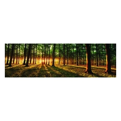 Preinterier Fototapeta - FT4032 - vlies - 832cm x 254cm