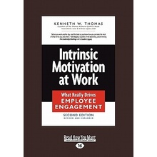 Intrinsic Motivation at Work: What Really Drives Employee Engagement Large Print 16pt W. Thomas Kenneth Paperback