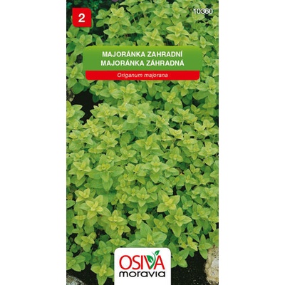 Majoránka zahradní Osiva moravia 0,2 g
