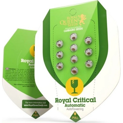Royal Queen Seeds Royal Critical AUTO semienka neobsahujú THC 5 ks