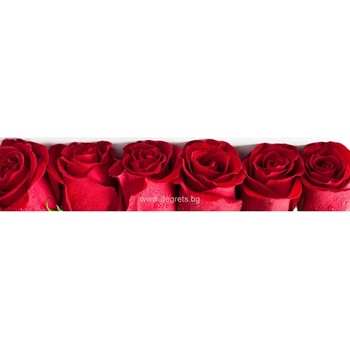 Image 1 of Пано Рози 1